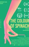 The Colour Of Spinach