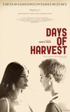 Days of Harvest