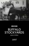 Buffalo Stockyards