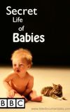 Secret Life of Babies