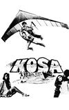 Kosa