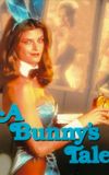 A Bunny's Tale