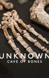 Unknown: Cave of Bones