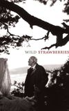 Wild Strawberries