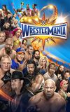 WWE WrestleMania 33