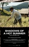 Shadows of a Hot Summer