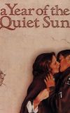 A Year of the Quiet Sun