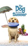 The Dog Who Saved Summer