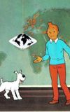 Tintin et la SGM