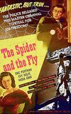 The Spider and the Fly