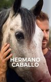 Hermano caballo