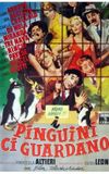 I pinguini ci guardano