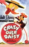 Crazy Over Daisy