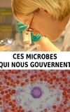 Ces microbes qui nous gouvernent