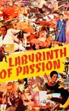 Labyrinth of Passion