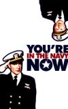 You're in the Navy Now