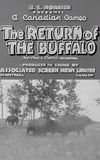 Return of the Buffalo