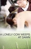 A Lonely Cow Weeps at Dawn