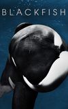 Blackfish