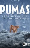 Pumas: Legends of the Ice Mountains