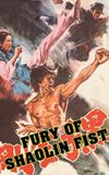 Fury of Shaolin Fist