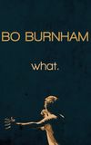 Bo Burnham: What.