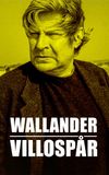 Wallander: Sidetracked