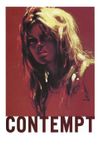 Contempt