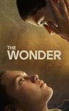 The Wonder