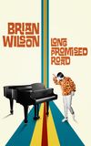 Brian Wilson: Long Promised Road