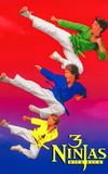 3 Ninjas Kick Back