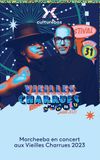 Morcheeba en concert aux Vieilles Charrues 2023