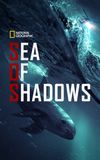 Sea of Shadows