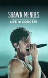 Shawn Mendes: Live in Concert