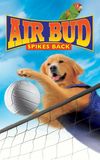 Air Bud: Spikes Back