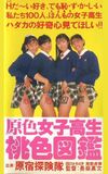 Primary Colour High School Girl Pink Picture Book