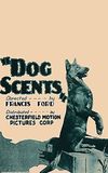 Dog Scents