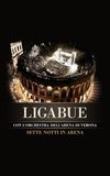 Ligabue - 7 notti in Arena