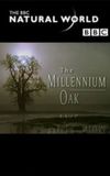 The Millennium Oak