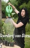 Boerderij van Dorst