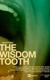 The Wisdom Tooth