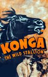 Konga, the Wild Stallion