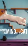 Inside the Mind of a Cat