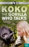 Koko: The Gorilla Who Talks to People