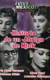 Historia de un abrigo de mink