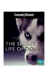 The Secret Life of Dogs