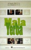 Mala yerba