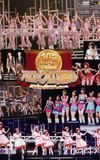 Hello! Project 2007 Summer 10th Anniversary Dai Kanshasai ~Hello☆Pro Natsu Matsuri~