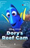 Dory's Reef Cam