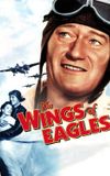 The Wings of Eagles